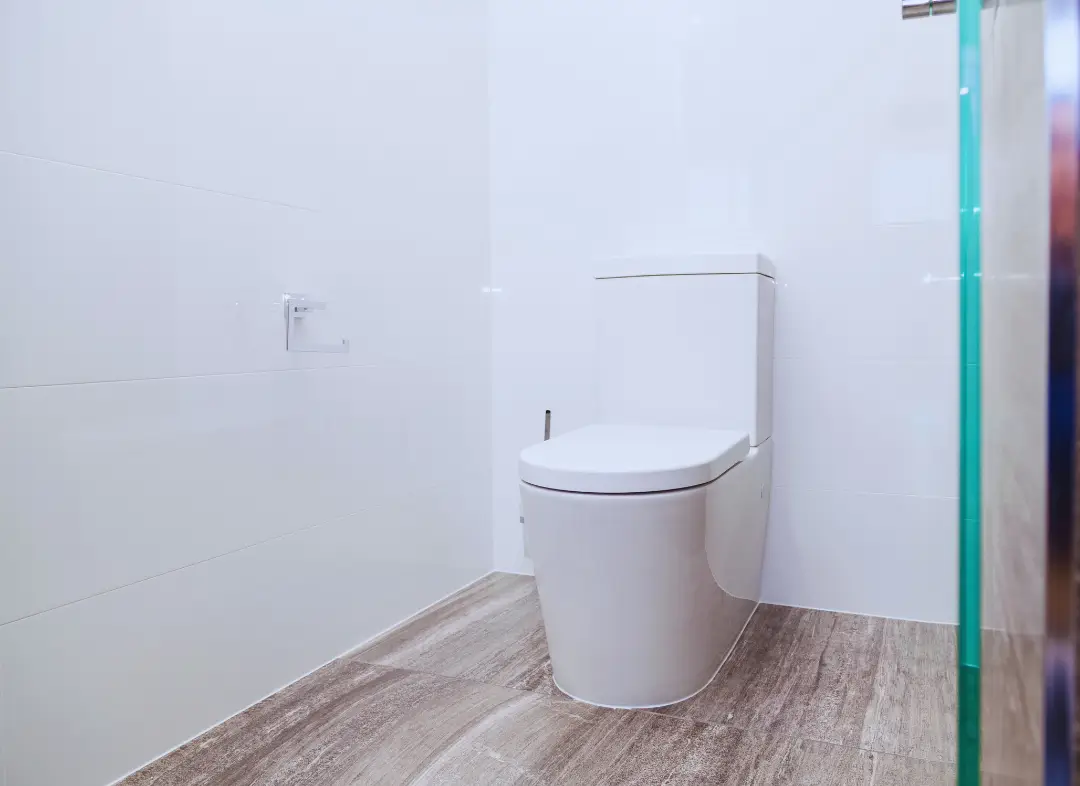 Remplacement de wc Labarthe-sur-Lèze